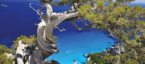 Conferenza permanente del Turismo 23 luglio 2018 Conferenza permanente del Turismo 23 luglio 2018