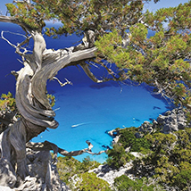 Conferenza permanente del Turismo 23 luglio 2018 Conferenza permanente del Turismo 23 luglio 2018