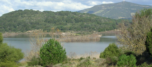 Tematica Risorse Idriche Tematica Risorse Idriche