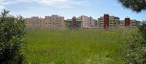 palazzi palazzi