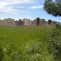 palazzi palazzi