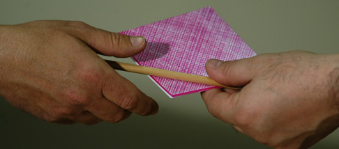 Elezioni Elezioni