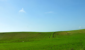Agricoltura ambiente Agricoltura ambiente