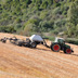 Agricoltura Agricoltura