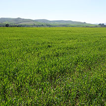 Agricoltura