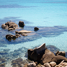 La Maddalena spiaggia Capocchia d'ù purpu La Maddalena spiaggia Capocchia d'ù purpu