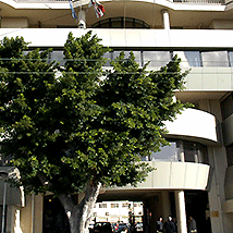 Assessorato al Turismo Assessorato al Turismo