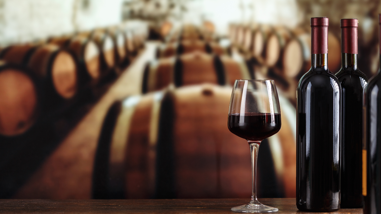 Vino Vino