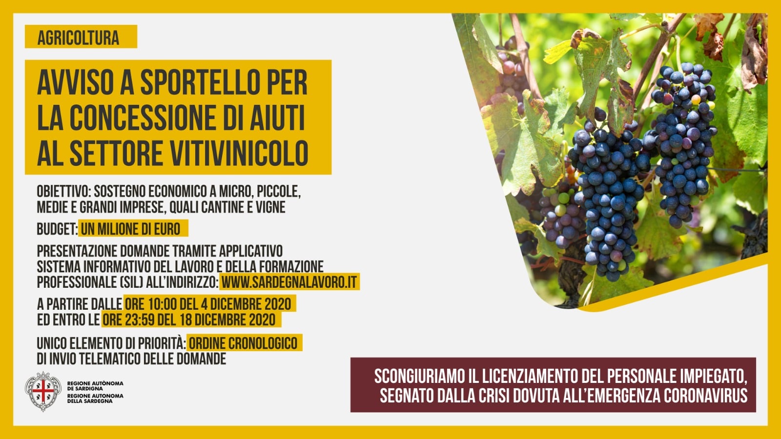 Sostegno imprese vitivinicole Sostegno imprese vitivinicole